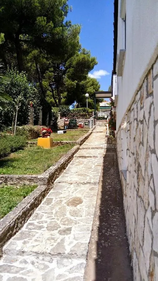 Apartmant 